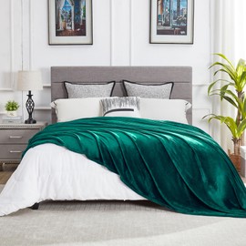 DREAMNINE Large Soft Plush Fleece Throw Blanket 60" x 80", Solid Shag Minky Lightweight Fuzzy Flannel Blanket for Bedroom,Luxury Washable Cozy Warm Velvet Blanket for Couch Sofa,Twin Size,Forest Green