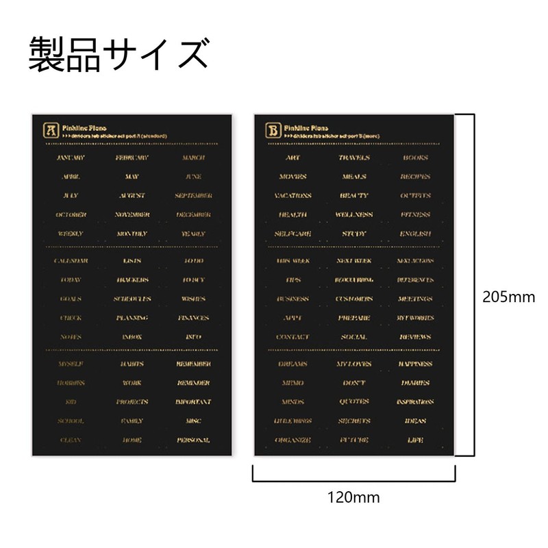 BRIIKPP A5 Divider Card, 7 Slots, 6 Holes, Labeled PP
