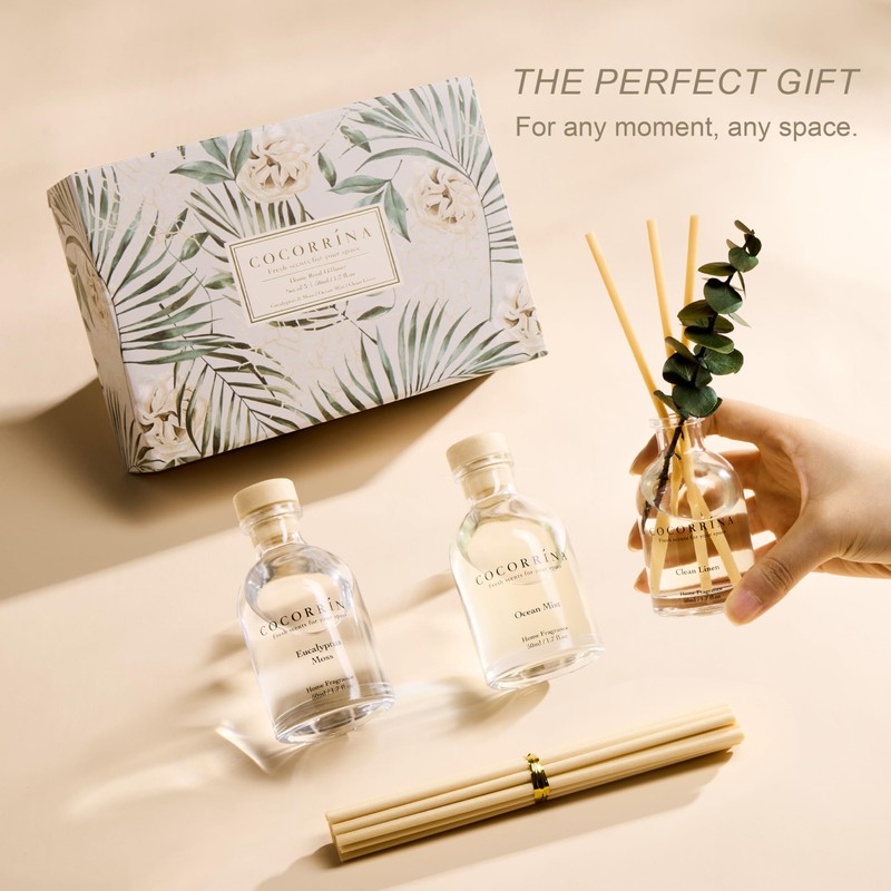 COCORRÍNA Eucalyptus Reed Diffuser Set of 3 - Eucalyptus &