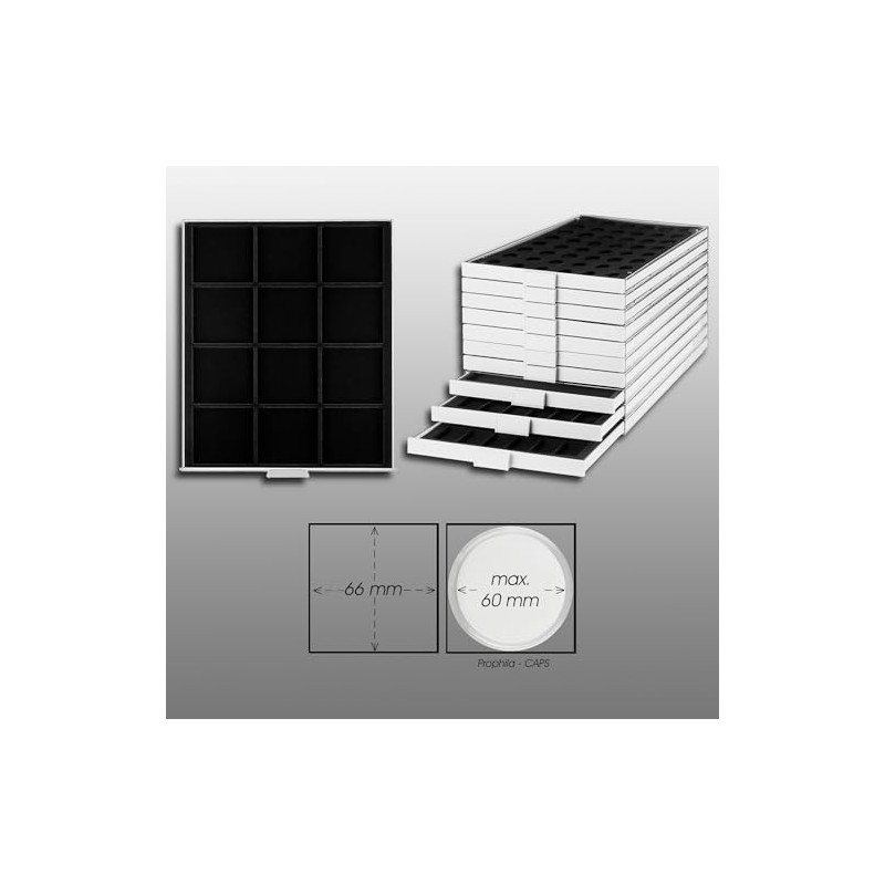 Prophila coin box gray 12 angular compartments for coins up