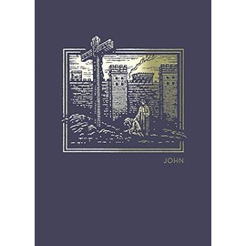 NET Abide Bible Journal - John, Paperback, Comfort Print: Holy Bible