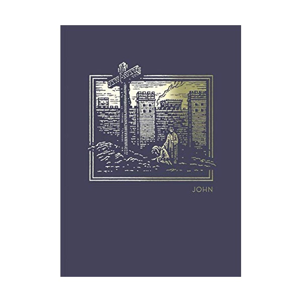 NET Abide Bible Journal - John, Paperback, Comfort Print: Holy