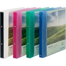 PP Presentation Ring Binder with 2-Ring Mechanism Pack of 1 Green Transparent
