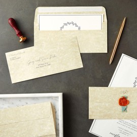50 Pack #10 Parchment Business Envelopes with Self-Adhesive Strip for Mailing Letters, Invitations (4 1/8 x 9 1/2 In)