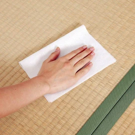 Tatami Wet Wipe Seat, 10P sq065 (D)