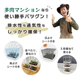 daim Succulent Mansion Black Kamen-kun Succulent Plants