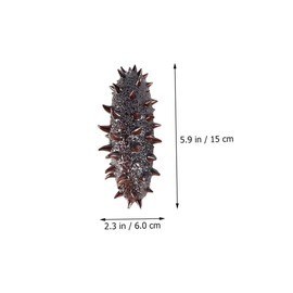 KICHOUSE 3pcs Lifelike Artificial Sea Cucumber Models Display Props Fun Educational for Restaurant Decor Photo Shoots