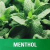 Chloraseptic Sore Throat Spray, Menthol, 6 fl oz (Pack of