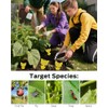 Yellow Sticky Traps for Indoor and Outdoor Pest Control -