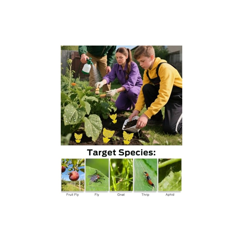Yellow Sticky Traps for Indoor and Outdoor Pest Control -