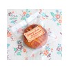 Cotta Standard Bag SS – 1 80 X 100 Clear