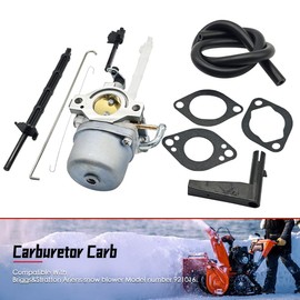 SIIMOO Carburetor Carb Fit for Briggs & Stratton and Ariens Snow Blower Model Replace 921013 921016