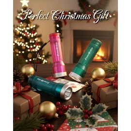 EverBrite Mini Flashlight, LED Flash Light with 3 Modes, 3 AAA Batteries Included, Water-Resistant Small Flashlight for Emergencies and Camping, Green, Christmas Gifts,1 Pack