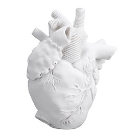 MANMAOHE White Anatomical Heart Vase Creative Heart Shaped Vase Resin Decorative Flower Vase Modern Art Flower Vase for Home Decor, 3.1x4.5x5.9inch