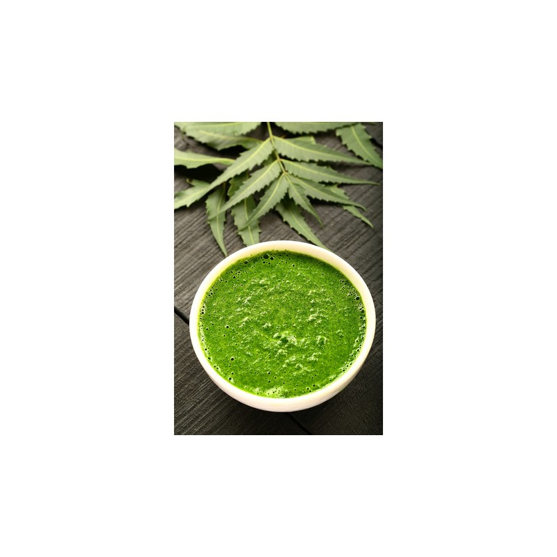 Fresh Neem leaves Organic Leaves -100% Certified Fresh From Florida