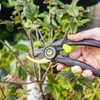Mikoquette Secateurs Premium Loppers with Bypass Blade for Flowers, Shoots