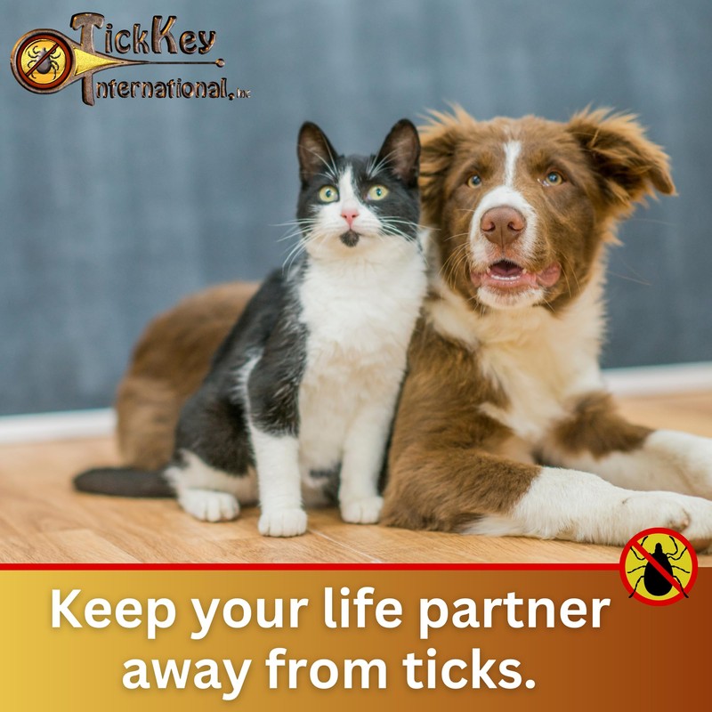 The Original Tick Key -Tick Detaching Device - Portable, Safe