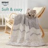 Bernat Baby Blanket Dappled Peachy KEEN Yarn - 2 Pack