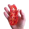 Fantasy Shrimp Hair Clip,Novelty Acetate Claw Clips,Small Hair Clips for