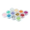 (12 Colors Five Star Sequins) - YesLady Nail Art Glitter
