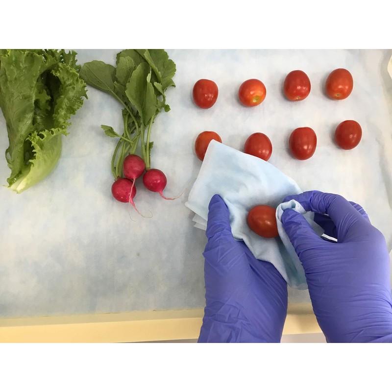 Nippon Paper Crecia 60650 Wipeall X50, Blue, 4-fold, 50 Sheets