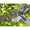 Castellari TUCANO C60 Professional Garden Anvil Lopper