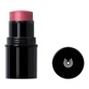 Dr Hauschka Lip to Cheek Tint, 03 Rosewood 6.1g