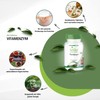 Fairvital Enzyme Complex – Vitamin Enzyme – High Dose –