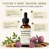 Lymphatic Drainage Drops for Bloat Relief & De-Puff Support 2