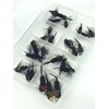 Fly Fishing Montana Mixed Selection Pack of 24 Flies in