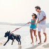 Fida Leash for Dogs, Long Lead, 2 Handles, Soft Pad,