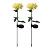2 Pack Outdoor Solar Lights Outdoor Waterproof Chrysanthemum Flowers Stake