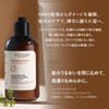 L'Occitane Intensive Repair Trial Damage Care Shampoo Conditioner Set Trial