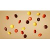 Reese's HERSHEY'S REESE'S-PIECES PEANUT BUTTER MILK CHOCOLATE CANDY-BULK VALUE BAG-PRICE