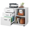 DEVAISE 3-Drawer Wood File Cabinet with Lock, Mobile Lateral Filing