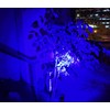 WONDSUNSON 2 x Blue Light Penlight Pen Type Flashlight One