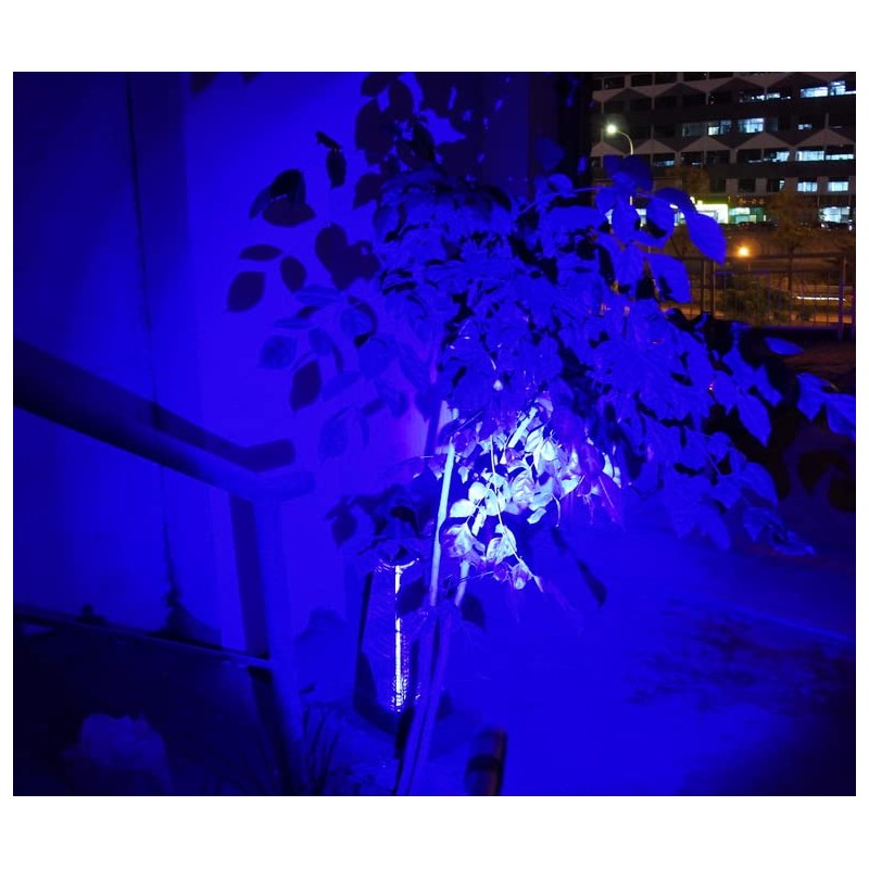 WONDSUNSON 2 x Blue Light Penlight Pen Type Flashlight One