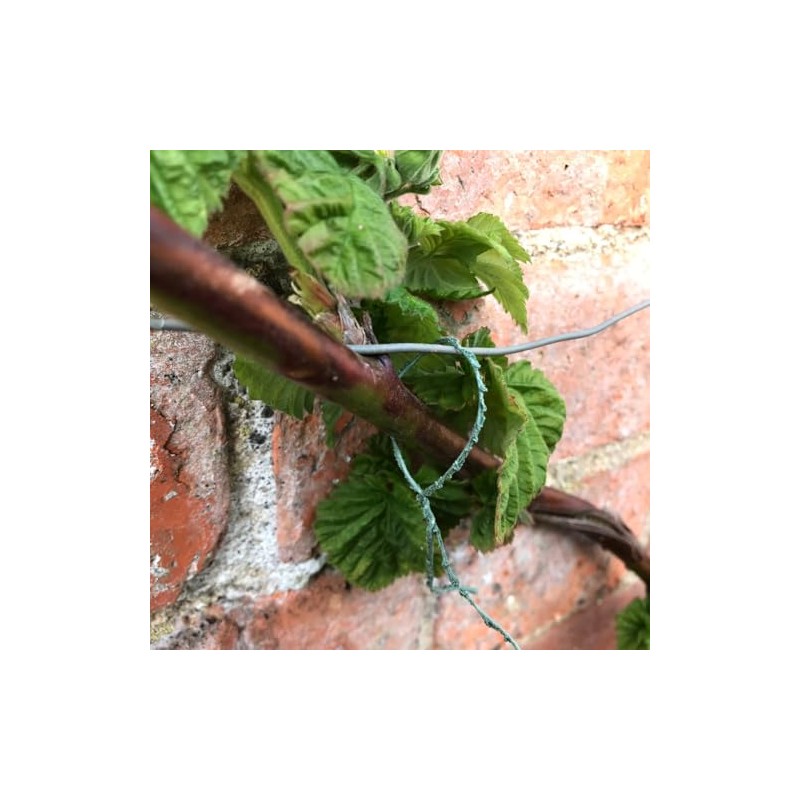 Tildenet 24 m Climbing Wire Coil