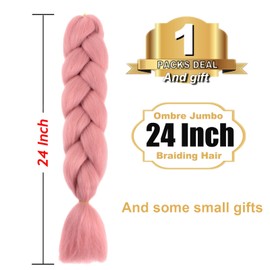 TENGSHUO FLY Rouge Pink Blue Braiding Hair 1 Packs Synthetic Braid Hair Extensions Ombre Braiding Hair 24" or Box Braids Twist Crochet Braids(24"1Pack,Rouge Pink-A17)
