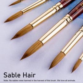 Falling in Art Paint Brushes, Watercolor Paint Brush Set with Sable Hair, Different Tips Size, Wooden Handle, Ideal Artist Brush for Watercolor Painting, 6Pcs (Round)