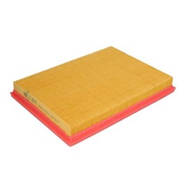 Original MANN-Filter Air Filter C 2975 – For Passenger Cars