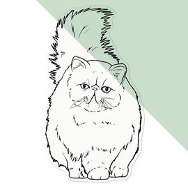 Azeeda Große 210mm 'Persische Katze' Permanente Transparente Aufkleber für Fenster/Autos/Wände/Skateboards etc (DC00106283)