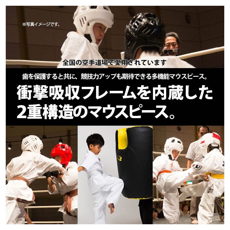 [BODYMAKER/Body Manufacturer] mausupi-susinguru tg256 , multicoloured