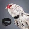 2Pcs Red Crow Rooster Collar, Crow Collar Rooster CollarNo Crow