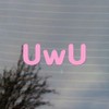 UwU Kawaii Emoticon Meme Vinyl Decal (Bubblegum Pink)