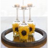 Stonebriar Unscented Long Burning White Tealight Candles, Bulk Pack, 6-7