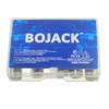 BOJACK 100A Gold Plated Glass Car Audio AGU Fuse for