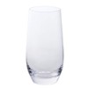 Dartington Crystal Wine & Bar Highballs Pair
