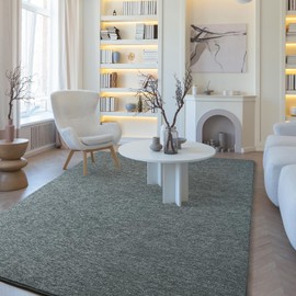 Amearea Modern Soft Area Rug, Chic Color Washable Rugs for Living Room, Home Decor Fluffy Carpet, Cute Accent Kids Rugs for for Bedroom Nursery Dorm Indoor Room Decor, Grey Green, 6x9 Feet