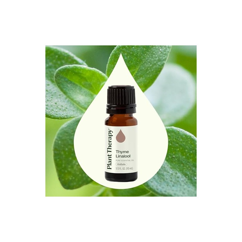 Plant Therapy | Aceite Esencial de Tomillo | 10 mL |